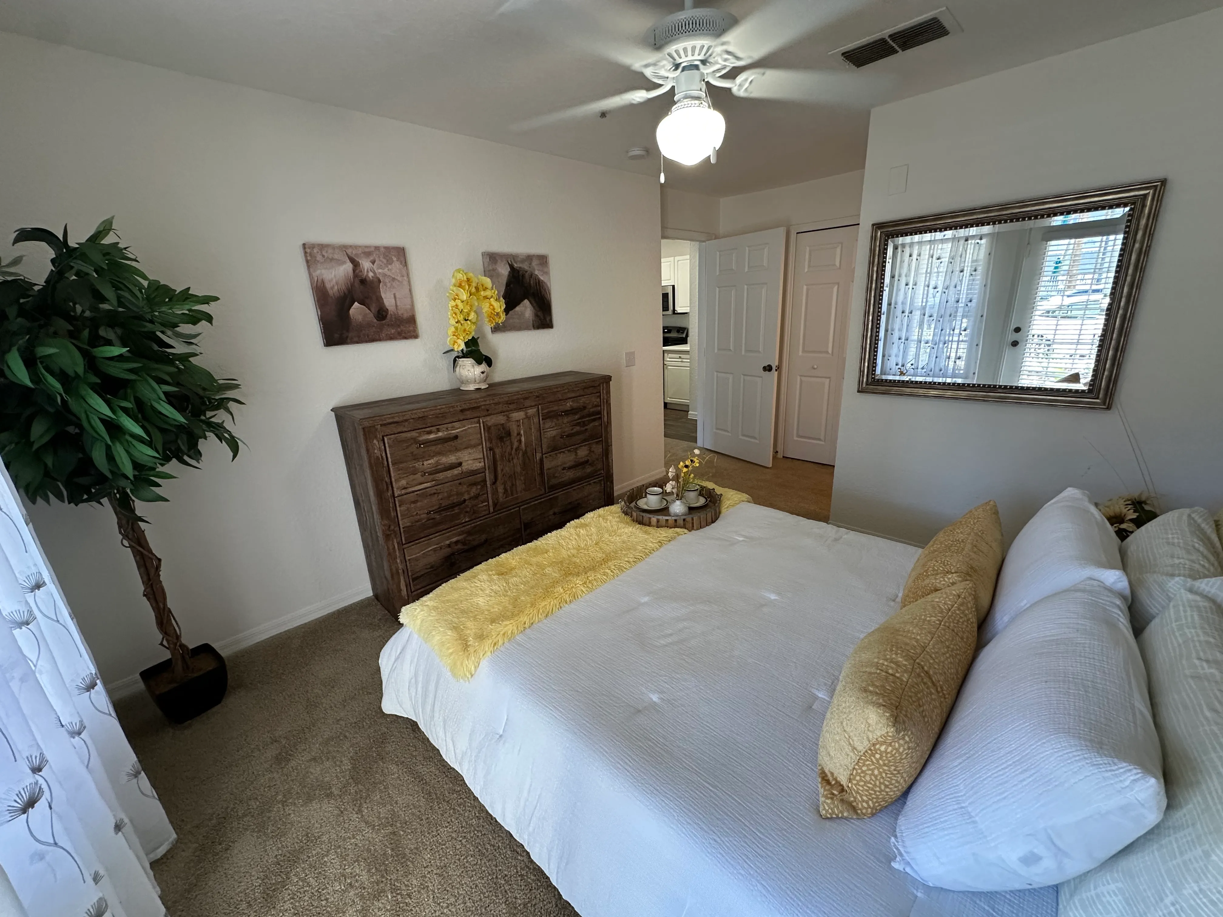 A bedroom with a bed, dresser, and a plant.
