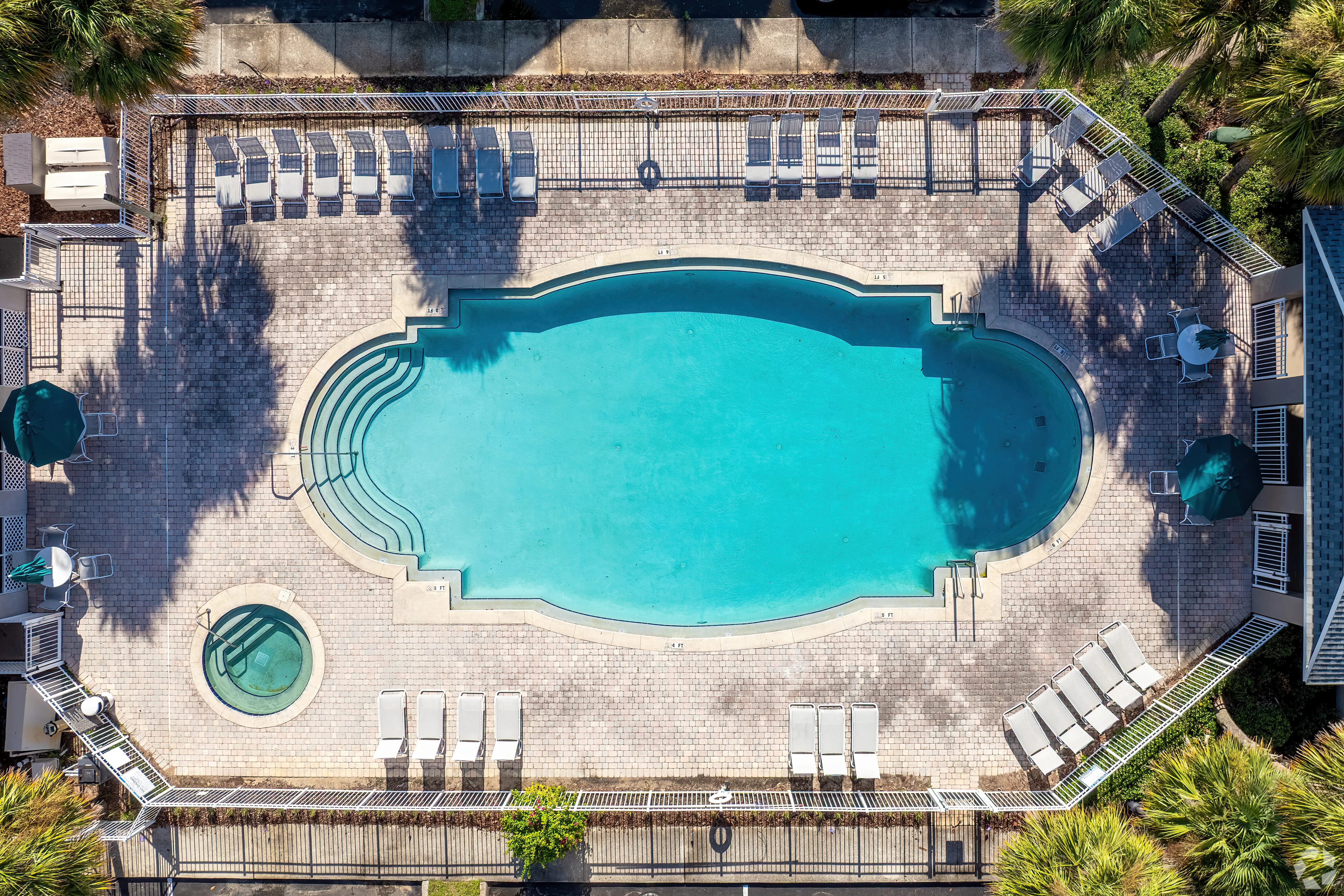 Pool and palm trees at Ridgepointe at Cagan Crossings