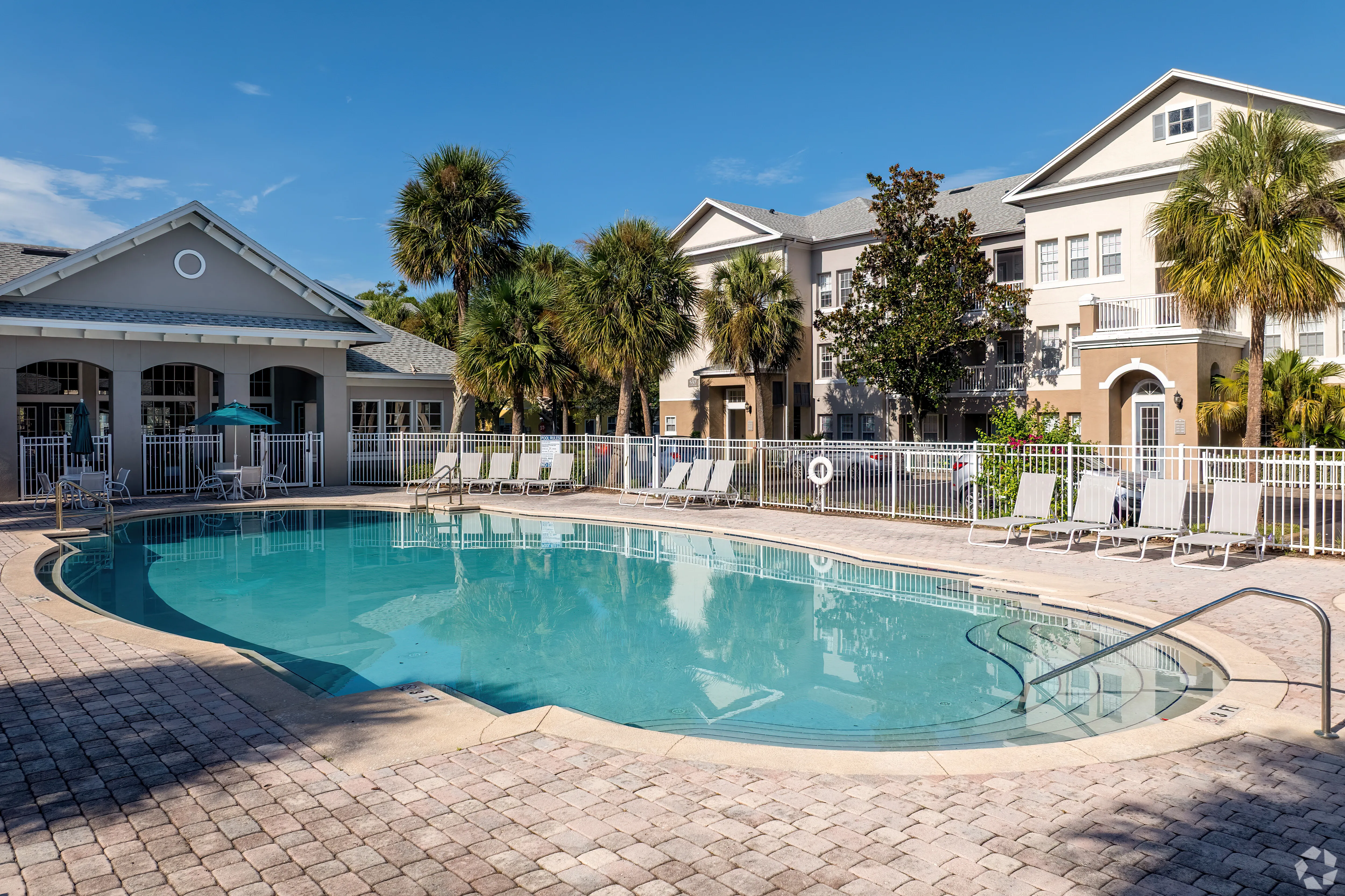 Pool and palm trees at Ridgepointe at Cagan Crossings
